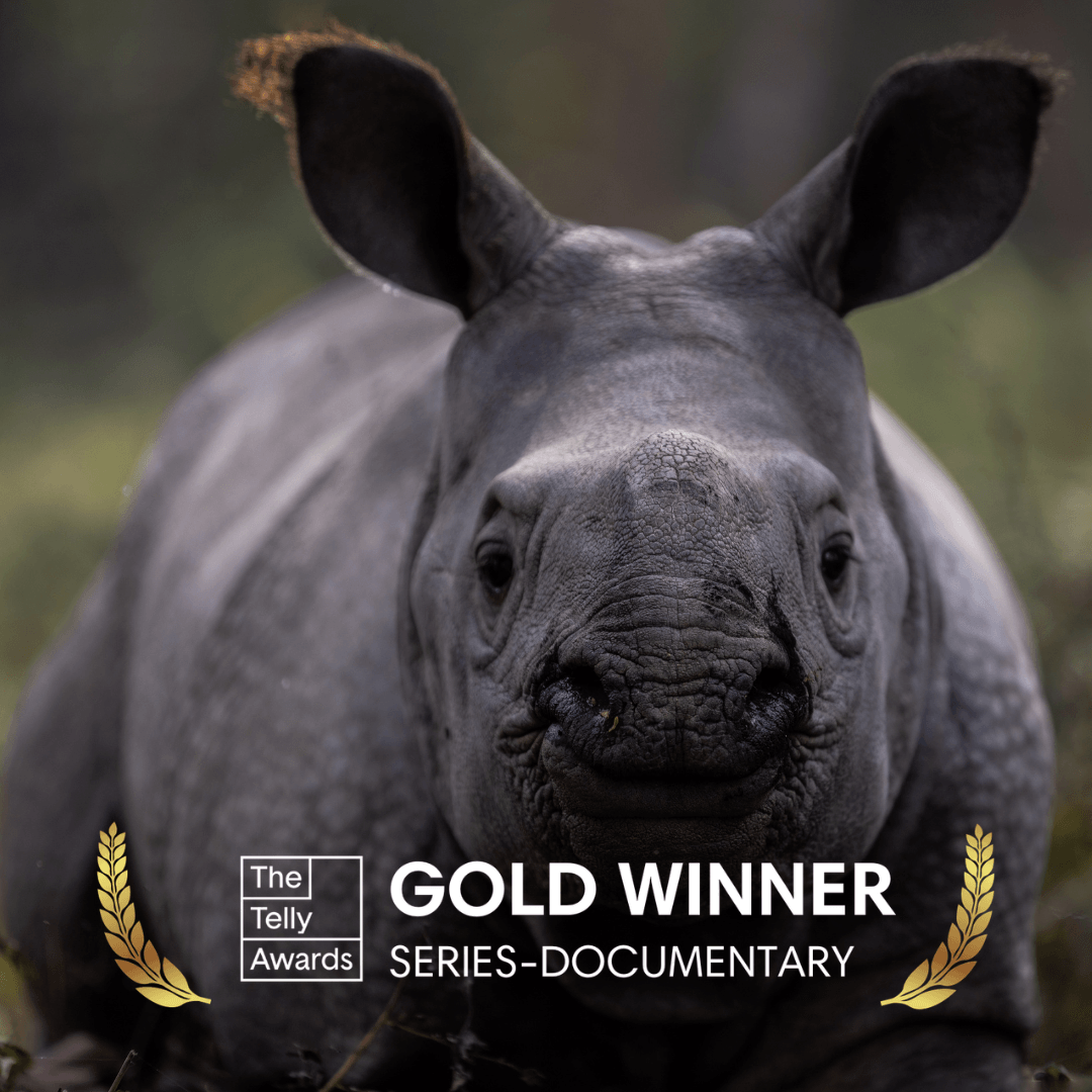 In Her Nature Docuseries Telly Award Winner