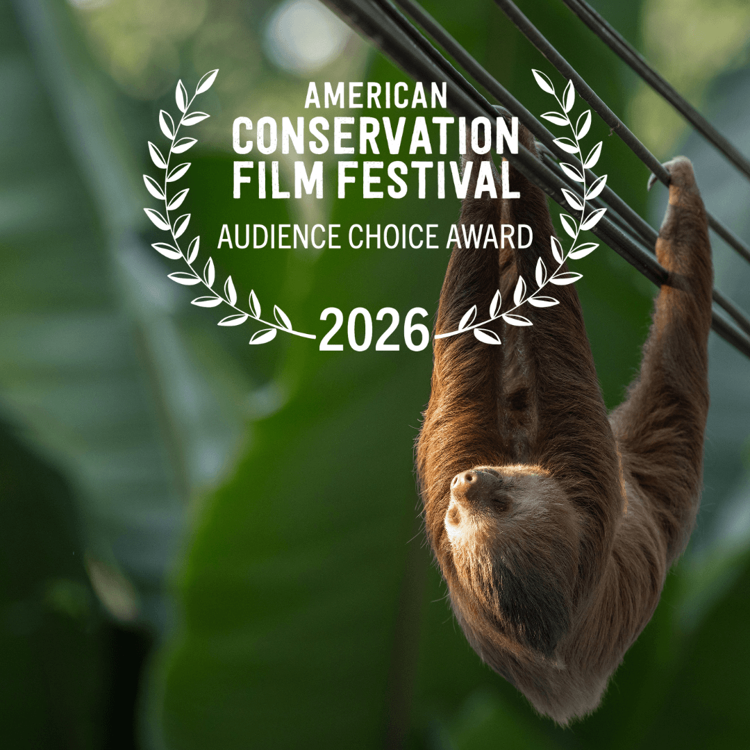 In Her Nature Docuseries ACFF Award
