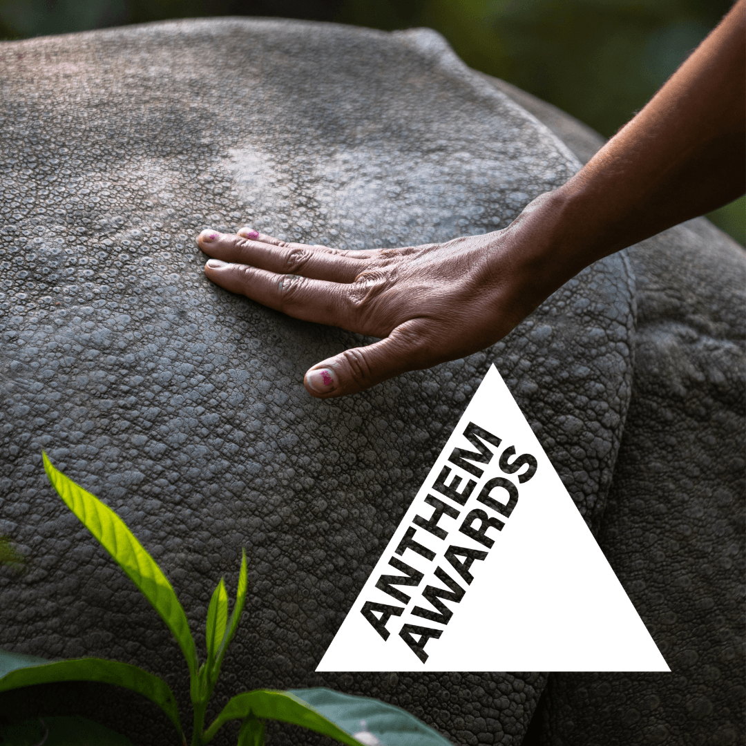 In Her Nature Docuseries Anthem Award Silver Winner