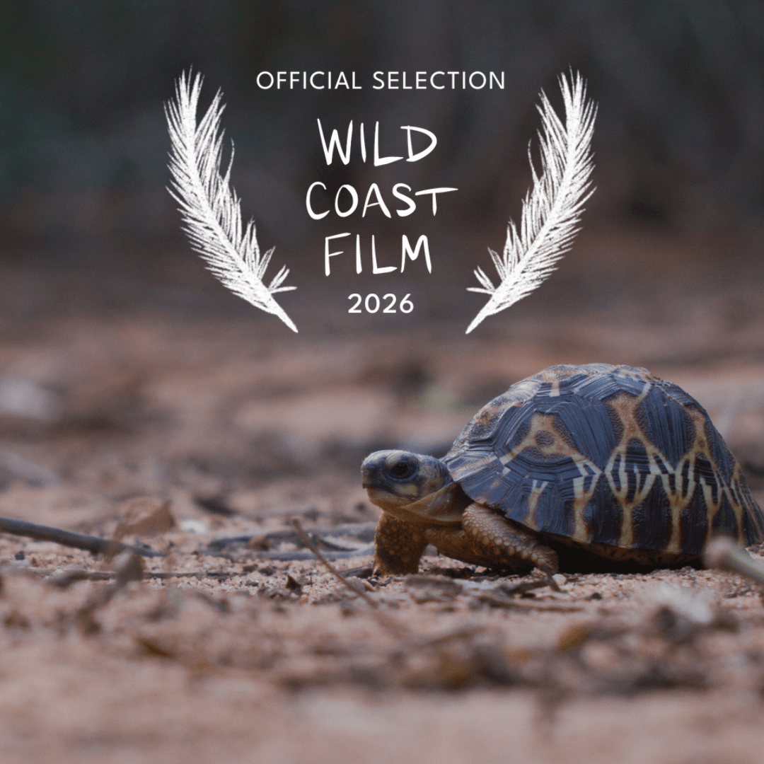 In Her Nature Docuseries Wild Coast Film Festival