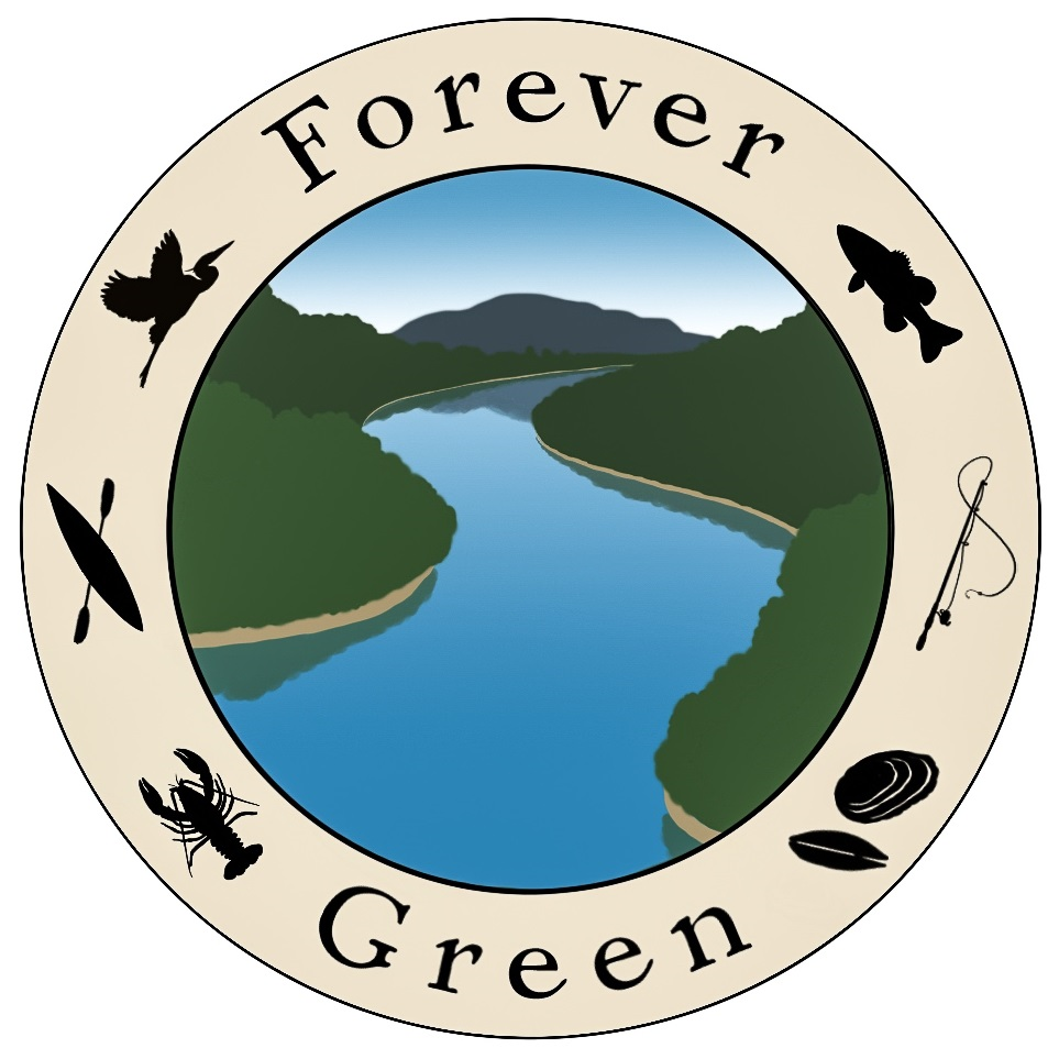 Forever Green