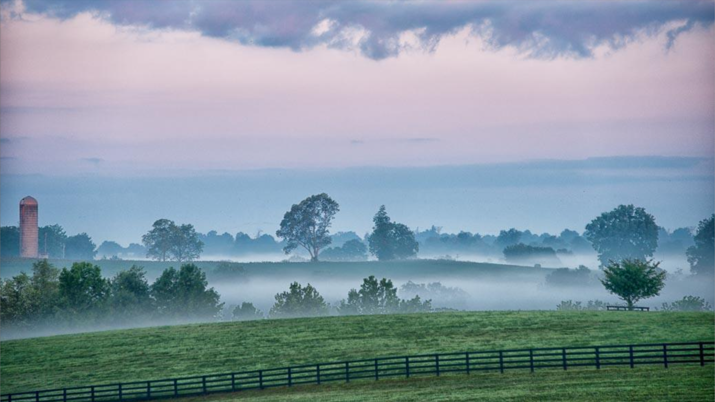 Bluegrass Farmland