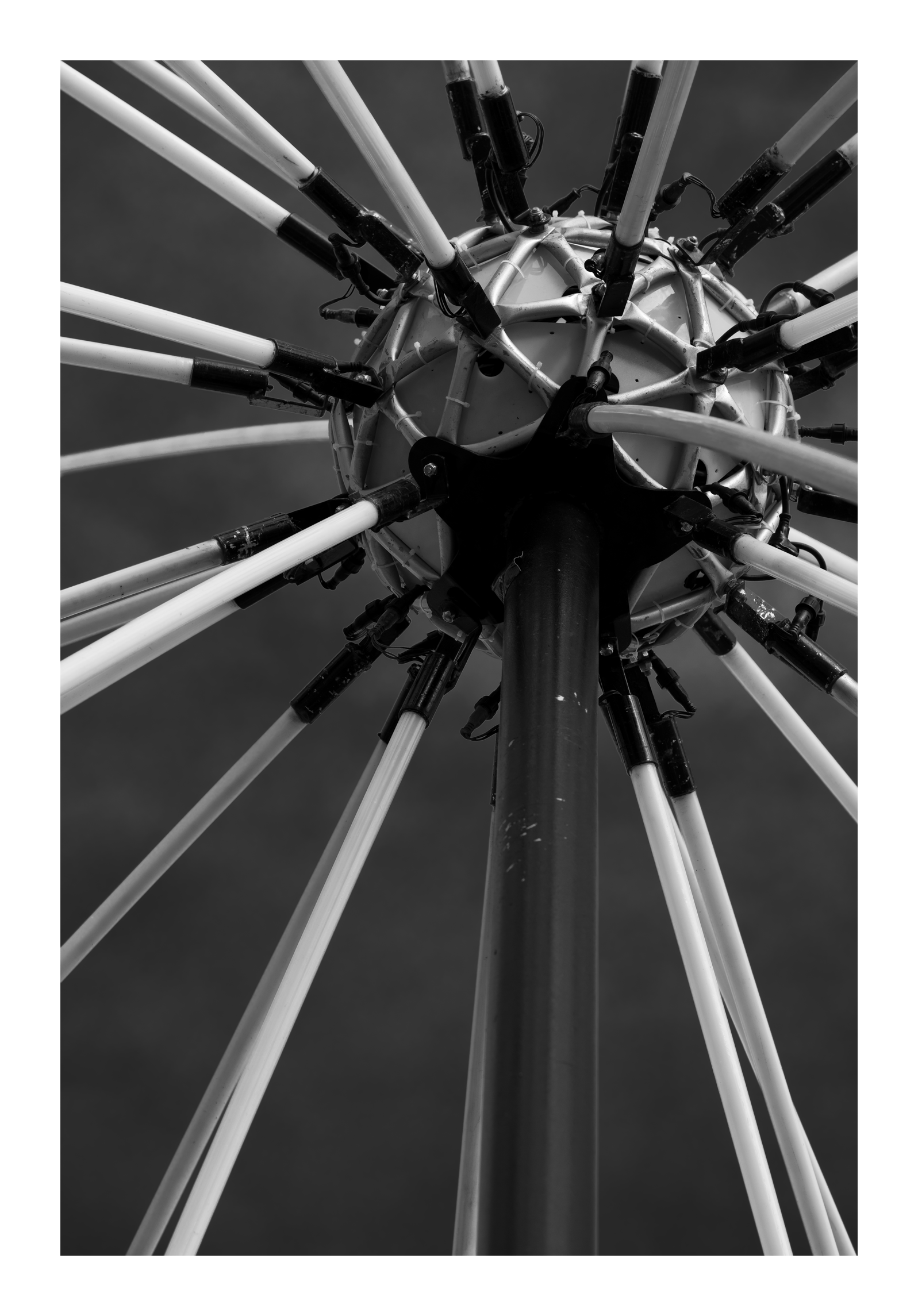 _DSF6470-web.gif