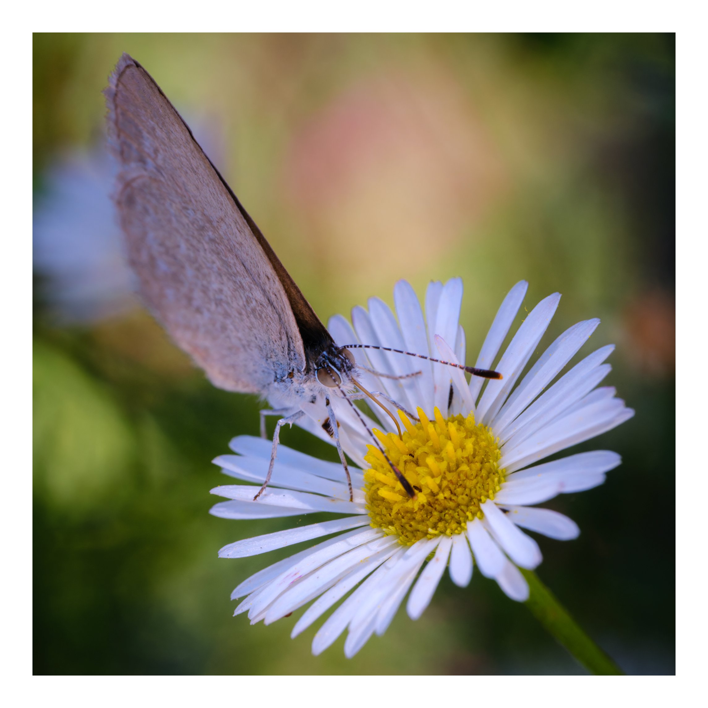 _DSF2232-RAF_DxO_DeepPRIMEXD-web.jpg