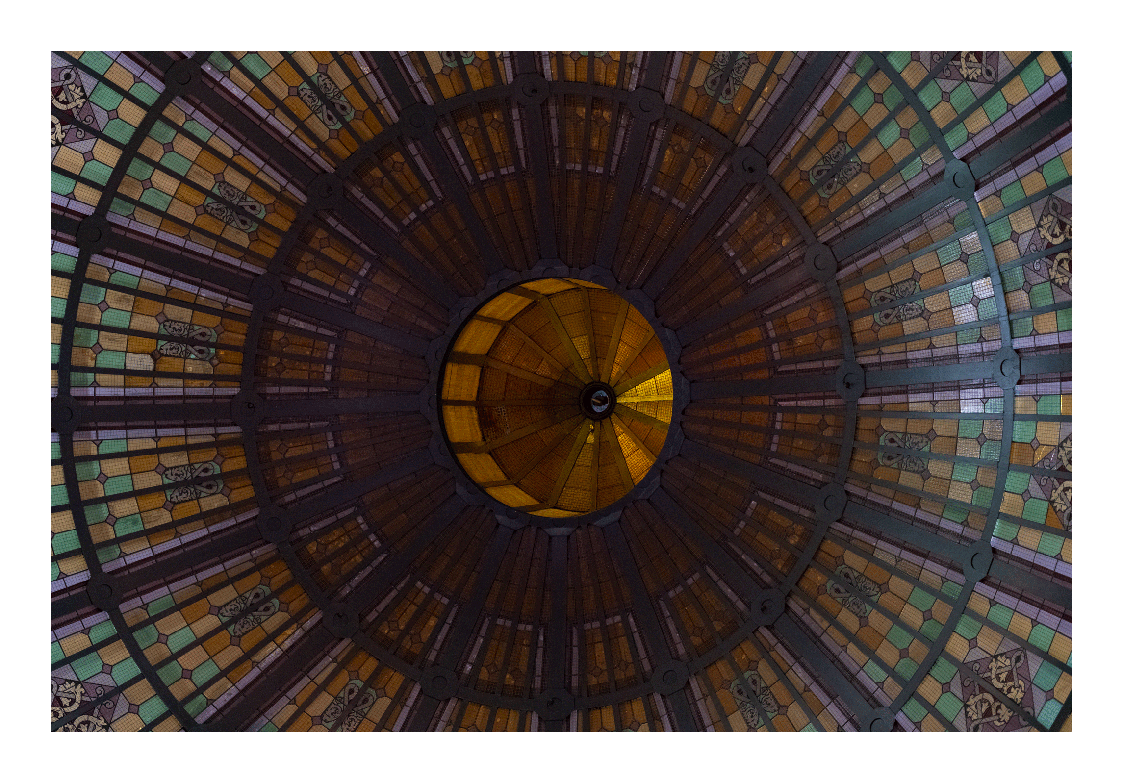 _DSB2597-web.gif