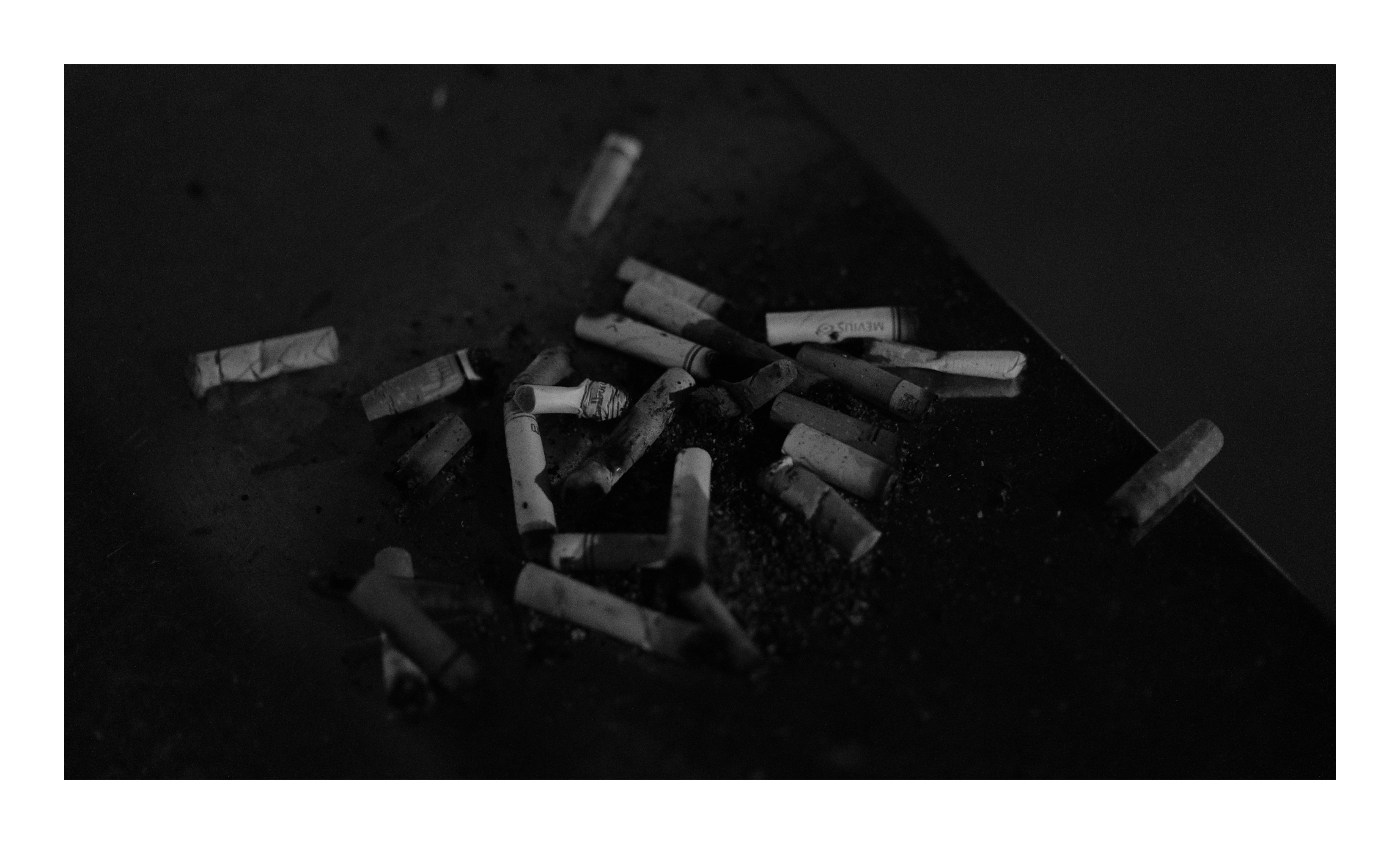 _DSF6606-web.gif