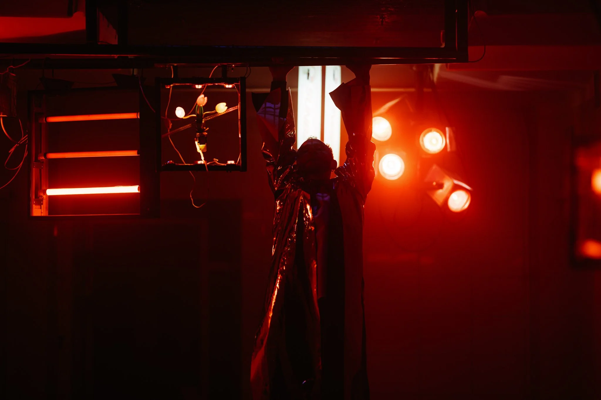 2026-01-26 _ 20-58-33 Mantas Repecka (MRE03763).jpg