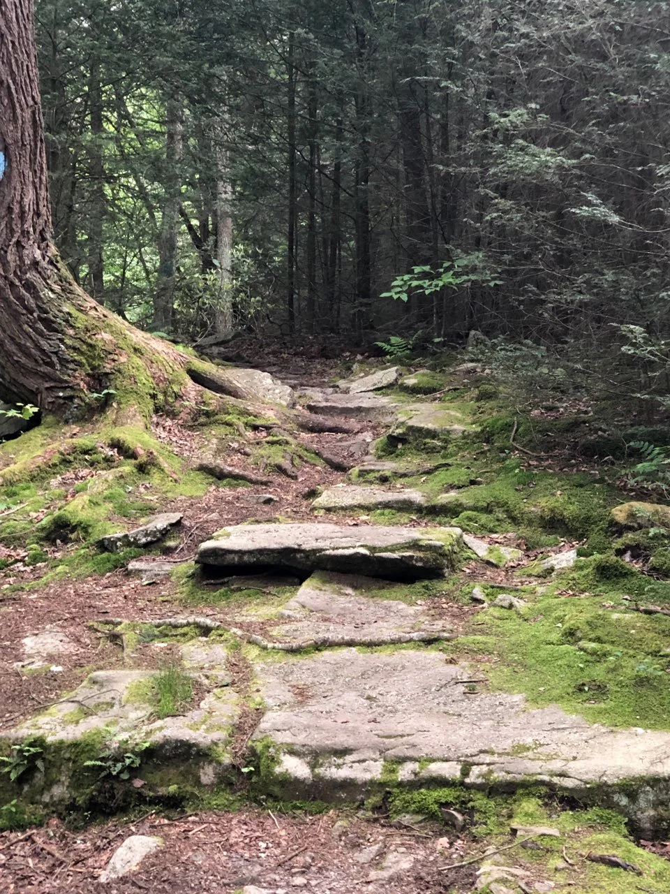 True Worthiness Found Rooted In Christ