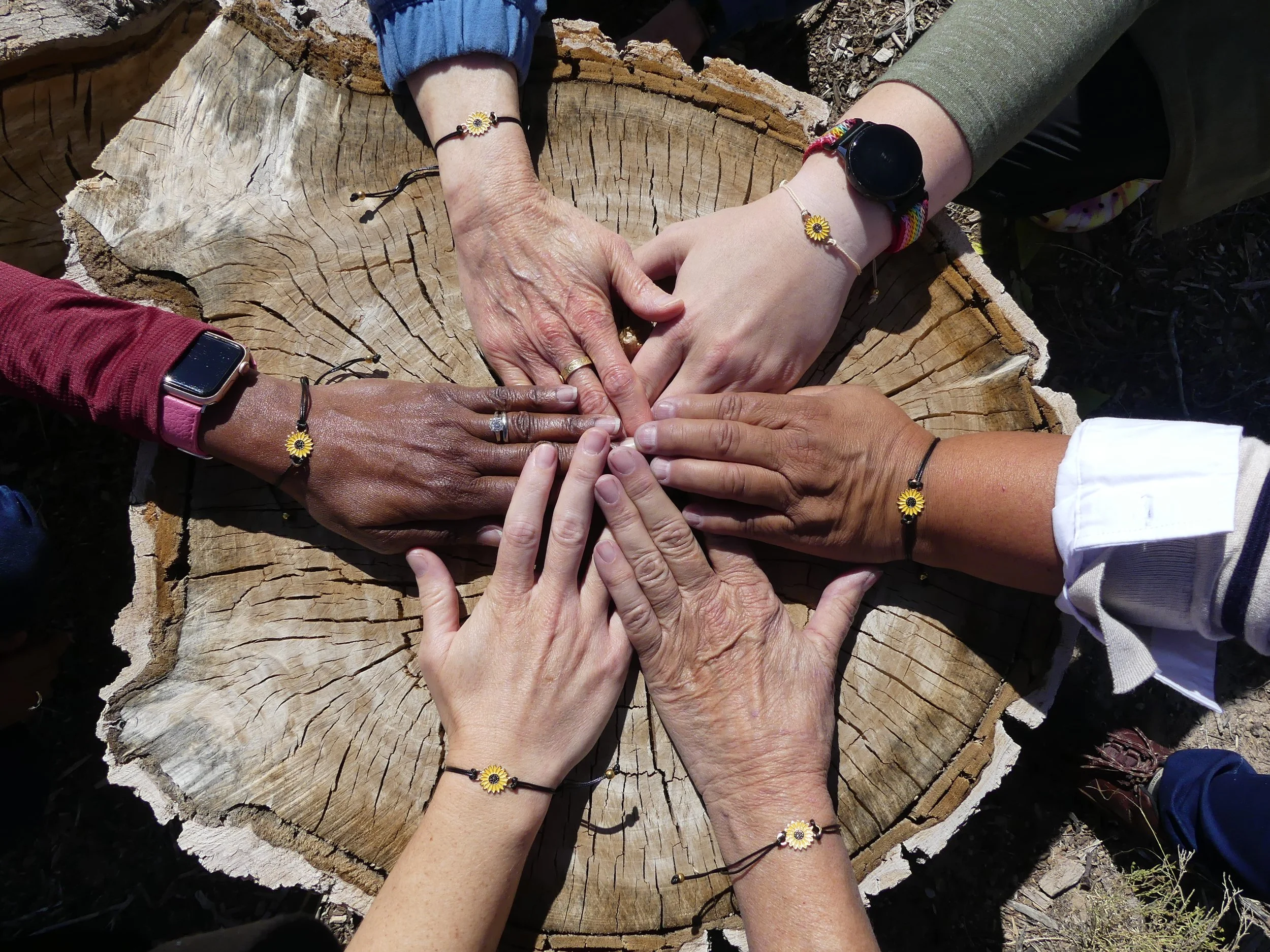 Multiple hands of diverse individuals placed on a large tree stump, showing unity and teamwork; each person is wearing a bracelet with a sunflower charm.