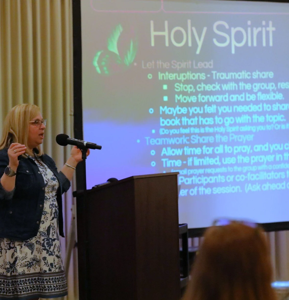 Lisa Stenger Book Launch Speaking 2