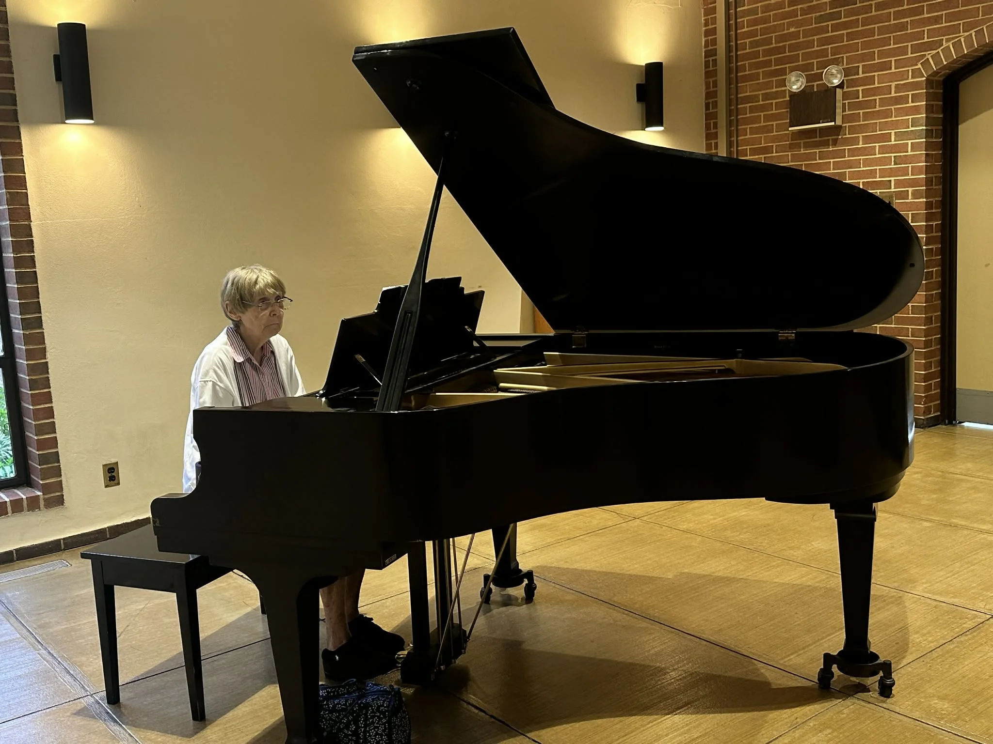 Carol Palermo Pianist