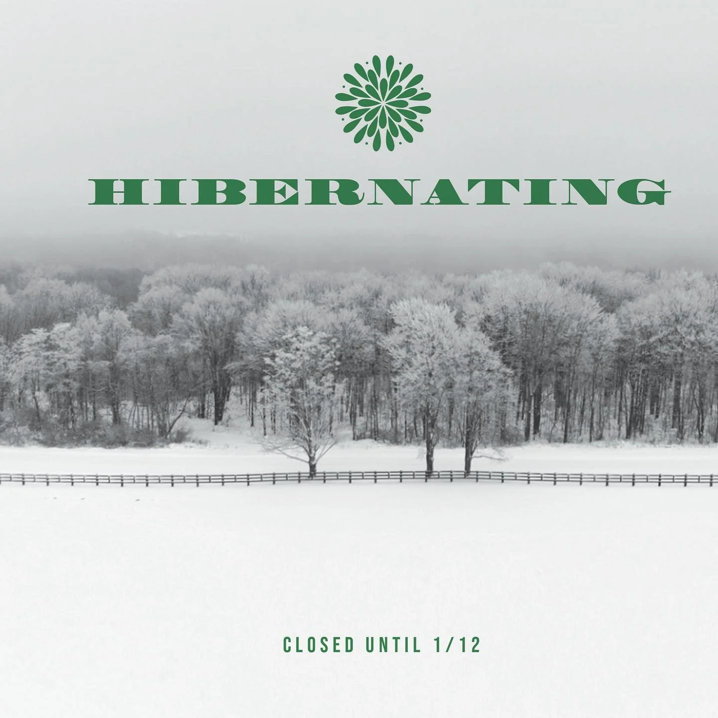 We are resting, collecting and curating until January 12th to bring new beauty to the shop. Can&rsquo;t wait to show you what&rsquo;s in store. Hand picked, handmade and as always undeniably unique.
