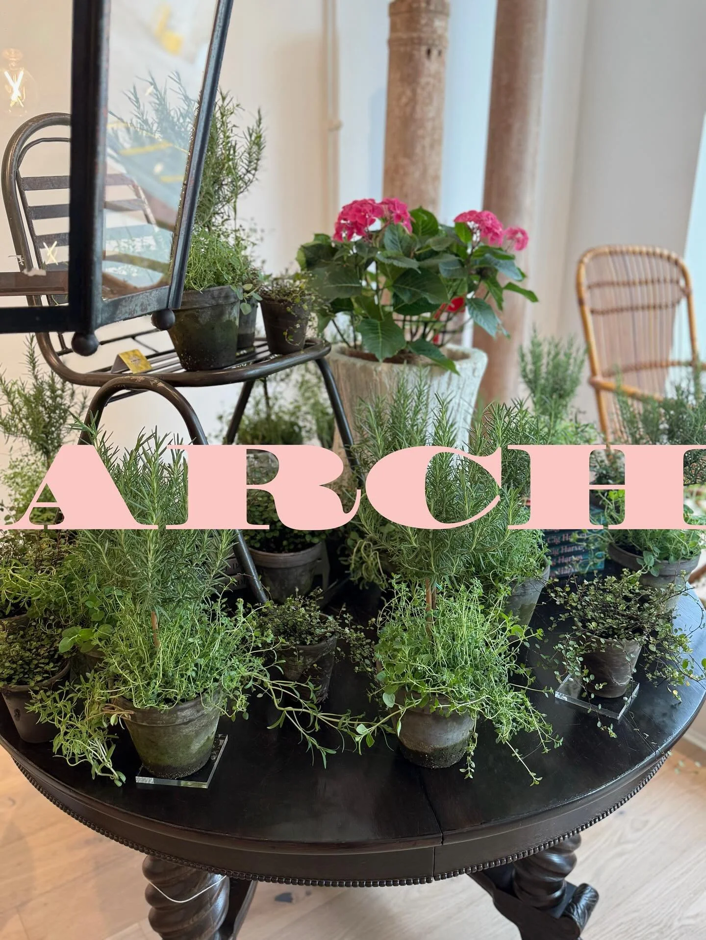 Lots of love for mom.  Let us help you put together the perfect gift for all the mamas  #mothersday #topiaries #lotsoflove #fortheloveofmom