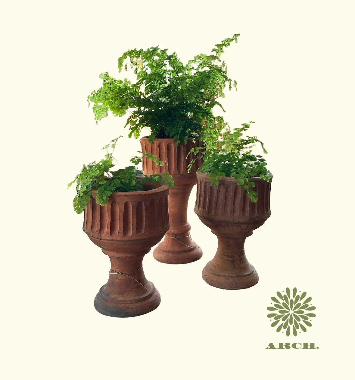 Vintage Italian Terra Cotta Planters.jpeg