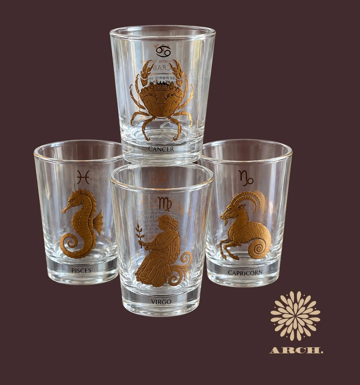 Vintage Zodiac Glasses