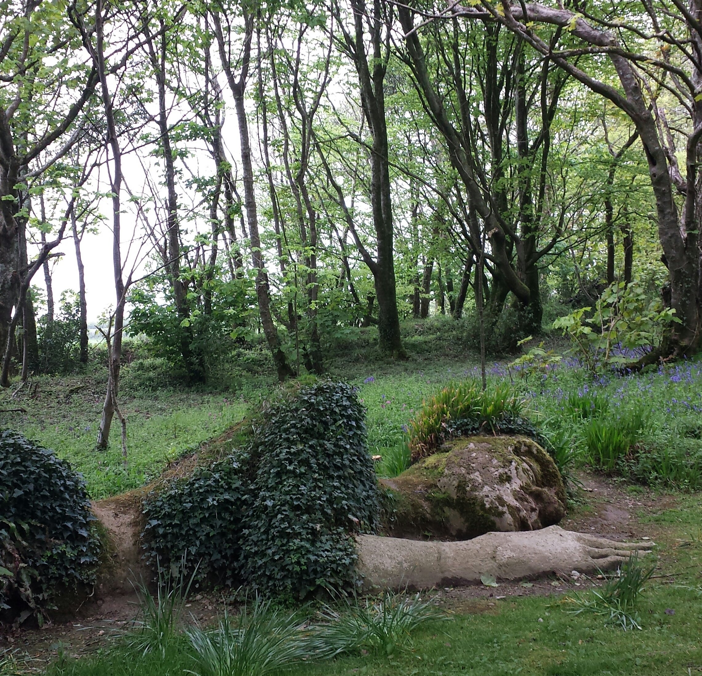 20150504_124855-1.jpg