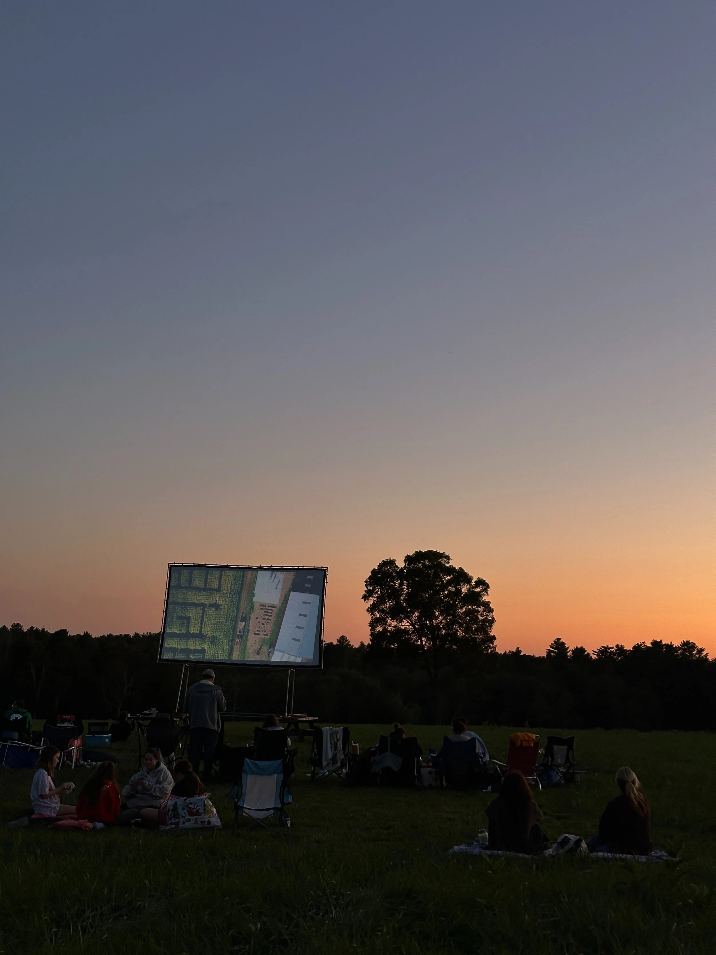 Friday Movie Nights
