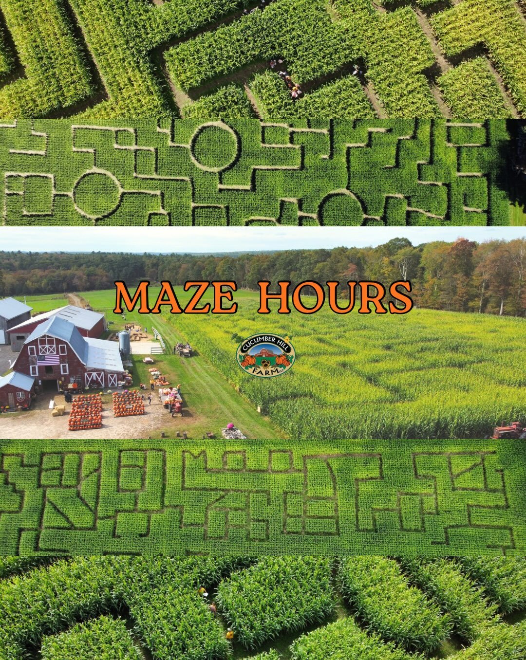 🌽 during the day or at night, our maze is the place for all ages! Bring your own flashlight or let the moonlight guide you🌙🦇 see everyone September 19th!
#cucumberhillfarm #ricornmaze #rifarm #fallactivitiesforkids #autumn