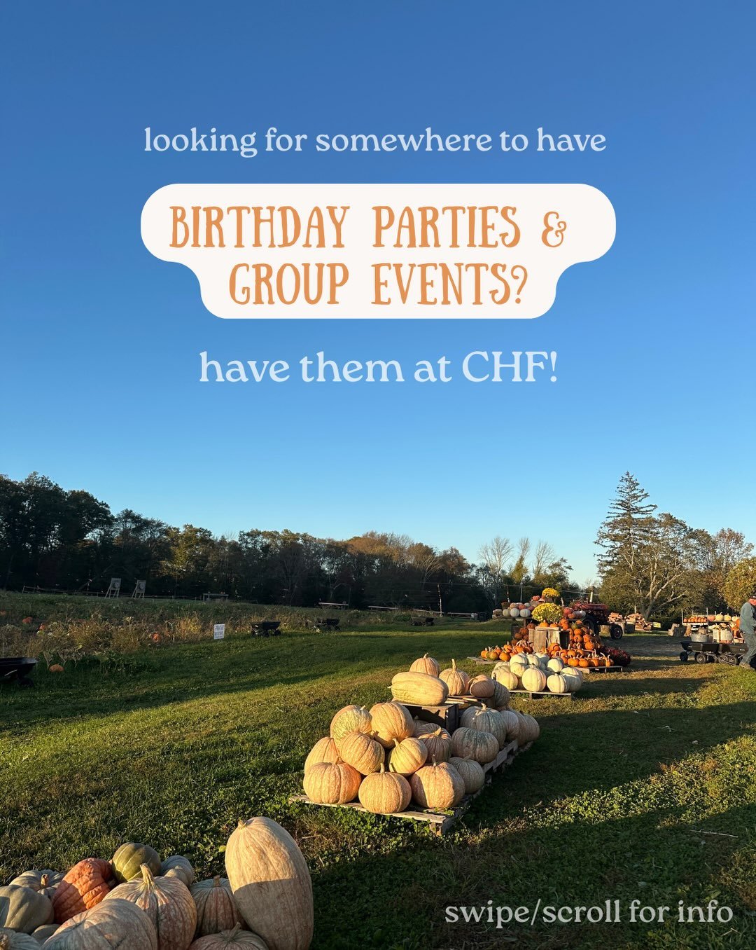 🎉 The perfect place to celebrate! 
Come make your next birthday party or group event extra special by picking Cucumber Hill Farm! We can&rsquo;t wait to celebrate with you! 
📧  info@cucumberhillfarm.com
