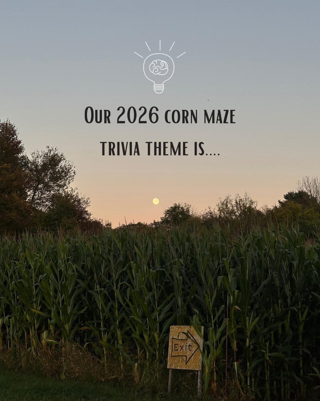 This year, we&rsquo;re highlighting the critters that come out at night!🌙🦉 Our maze opens Fridays &amp; weekends starting 9/19 through 10/31🦝
