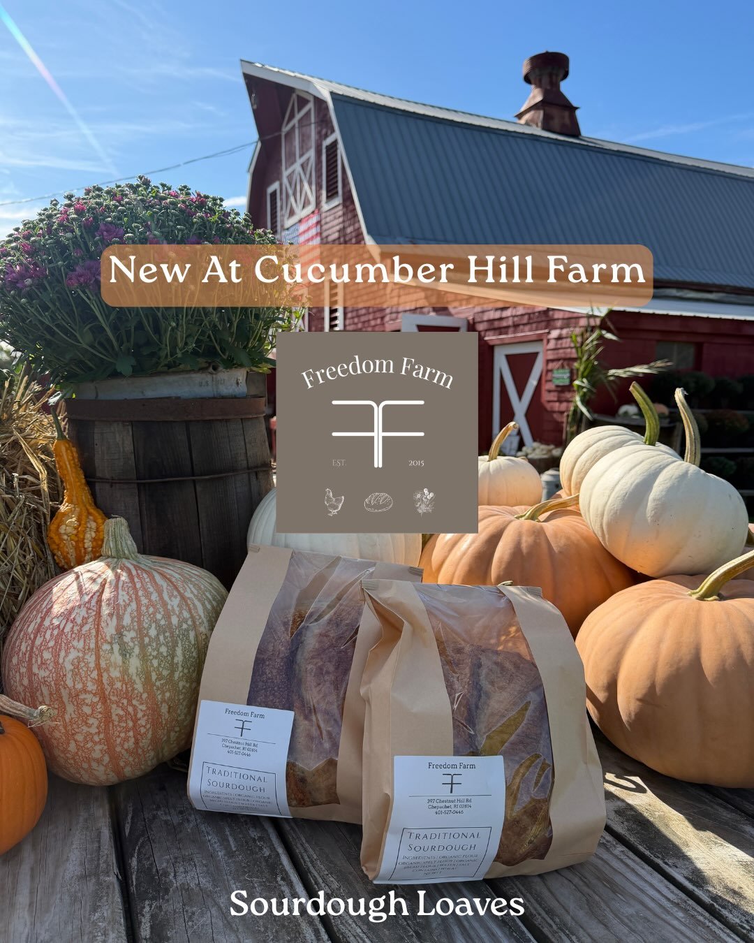 @freedom_farm_ri fresh sourdoughs are now at CHF! 🍞Saturdays and Sundays while supplies last!