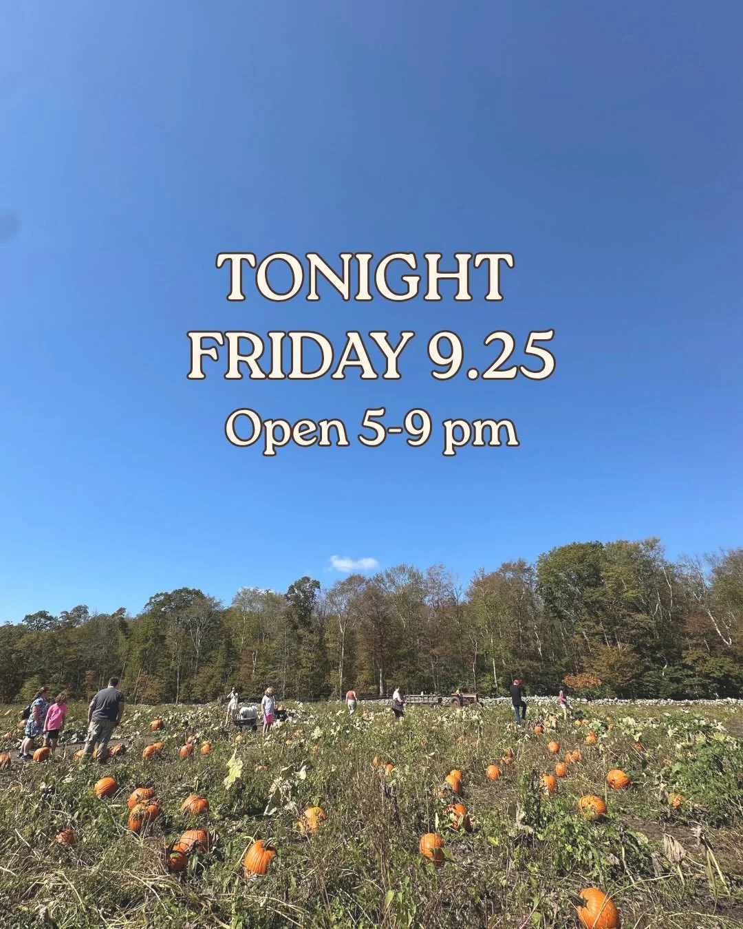 Looking for some calm before the storm? We&rsquo;ll be open tonight 5-9 pm with @la_strada_pizza_co ! See slide 2 for tonight&rsquo;s available activities 🎃🍂 we will be posting our Saturday and Sunday hours early tomorrow morning !