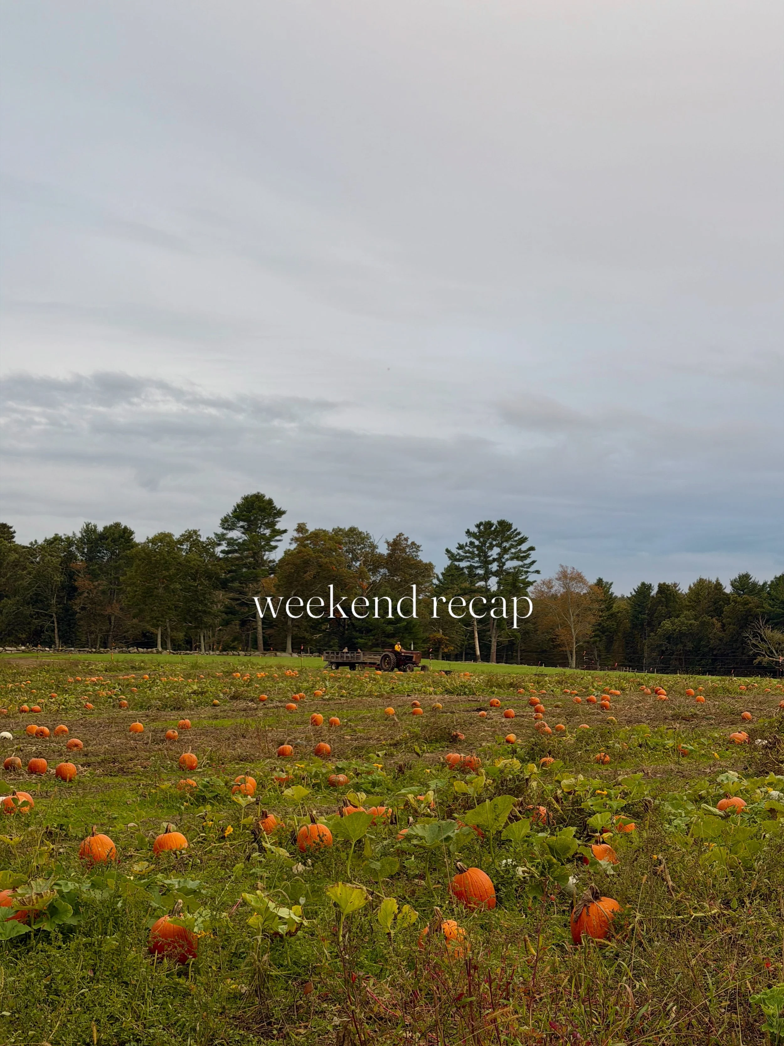 🍁this weekend was the perfect start to October! We have a packed schedule the next 3 weekends, stay tuned for updates 🎶🍻🚜🎸🍹
#cucumberhillfarm #rifarm #autumn #fall #pumpkin
