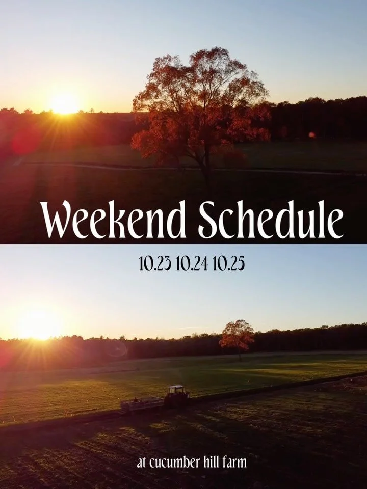 Our weekend schedule is here!!🍁 Join us Friday night through Sunday for all of our fall activities, food trucks, and even some live music and beverages!🎸🍻 #cucumberhillfarm #livemusic #pumpkinpatch #cornmaze