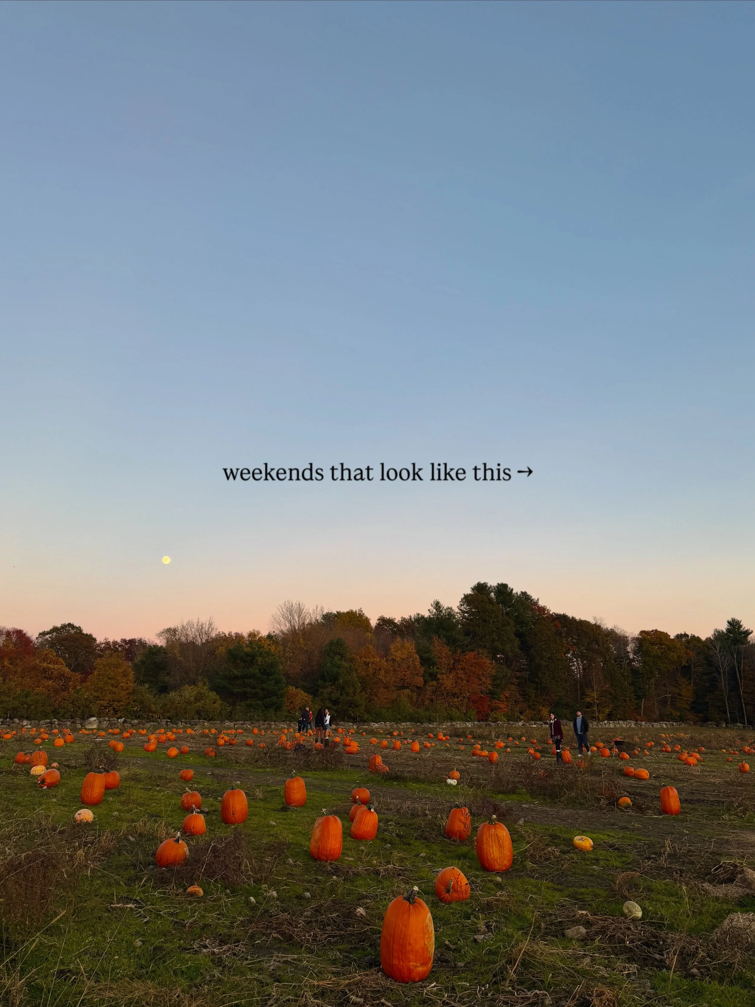 what a weekend! beautiful weather, amazing vendors, an awesome band, &amp; all the fall fun🍁🍂 #cucumberhillfarm #pumpkinpatch #ricornmaze #livemusic