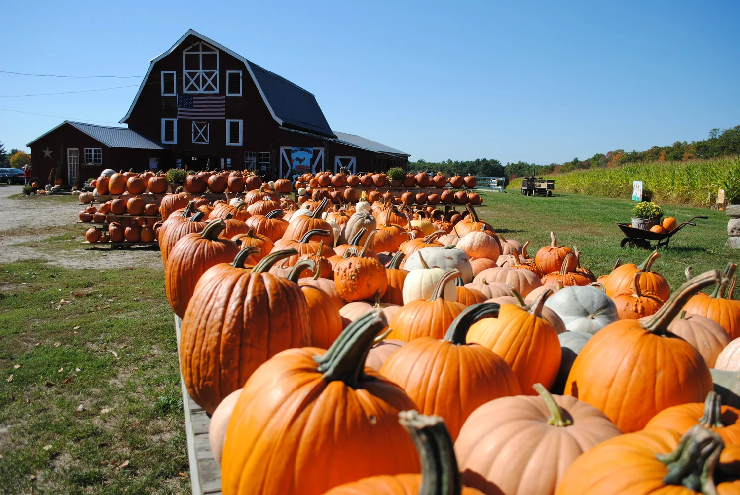 Cucumber Hill Farm-Our Story — Cucumber Hill Farm