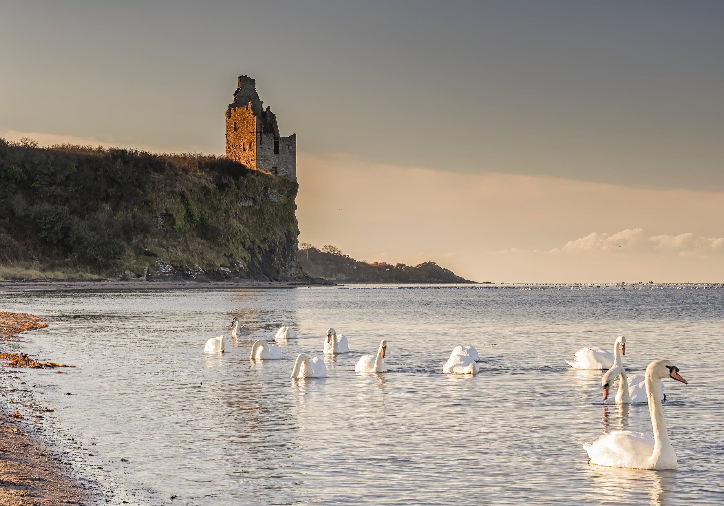 Greenan castle.jpg