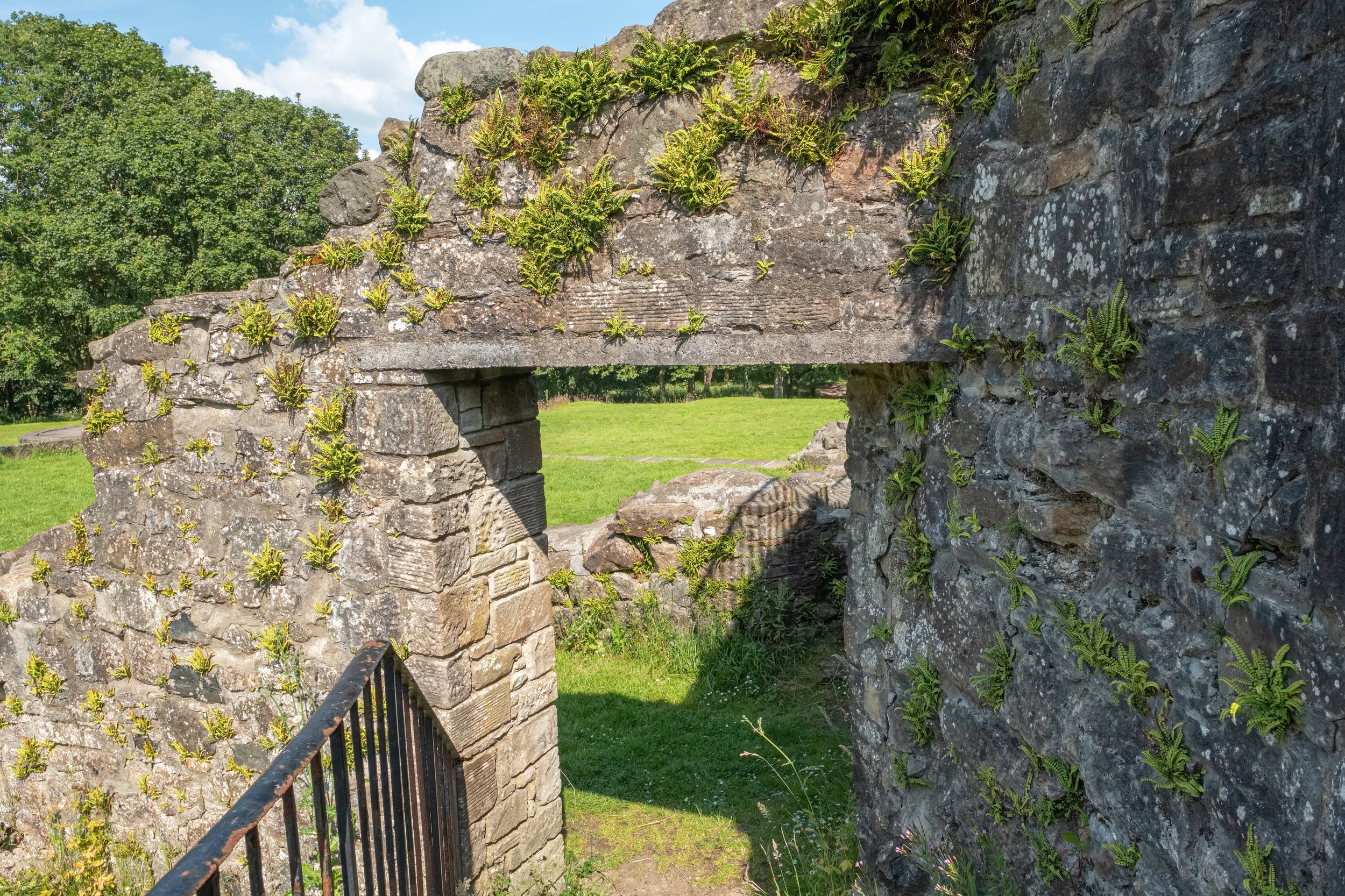 Eglinton Castle (3 of 12).jpg