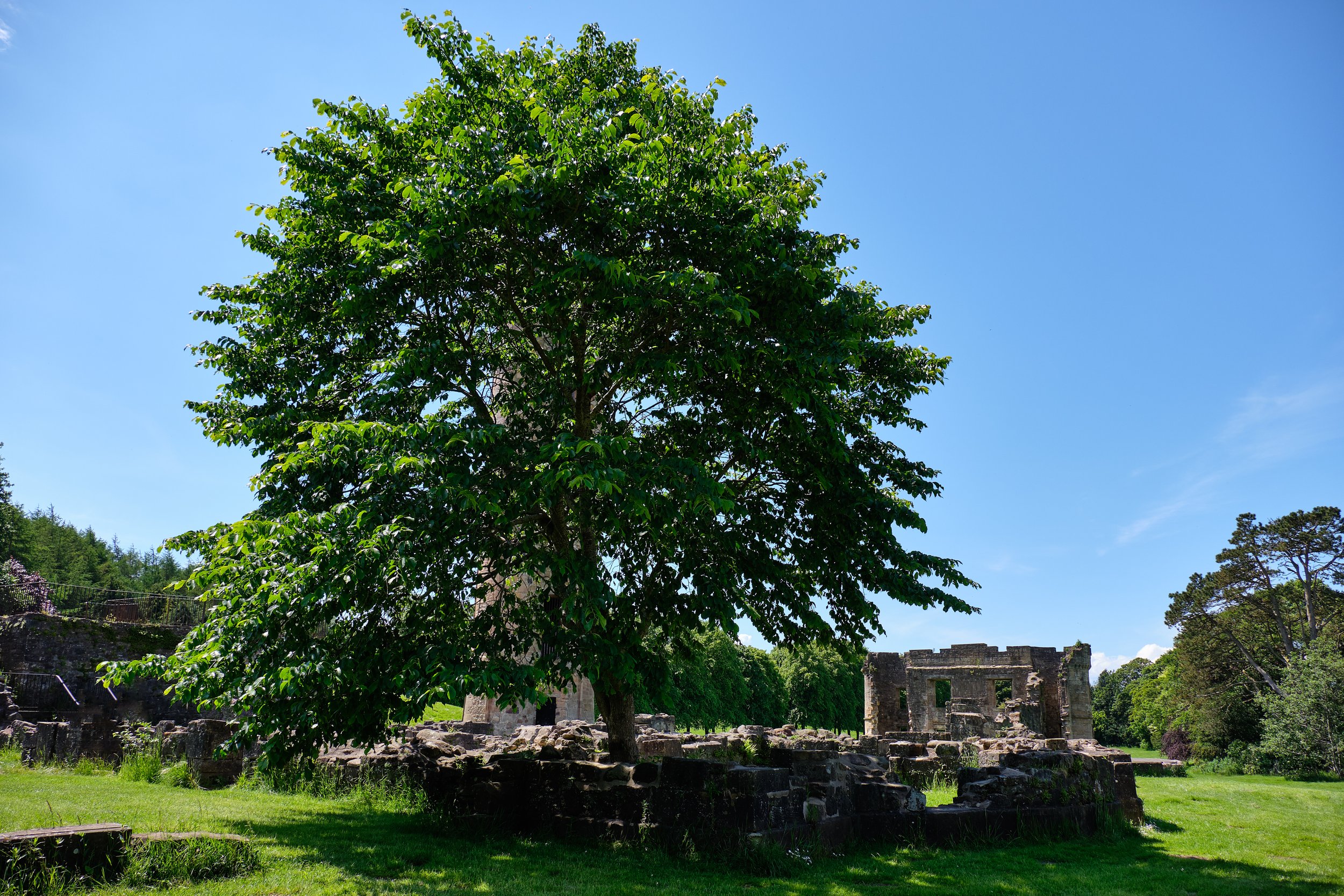 Eglinton Castle Area (4 of 13).jpg