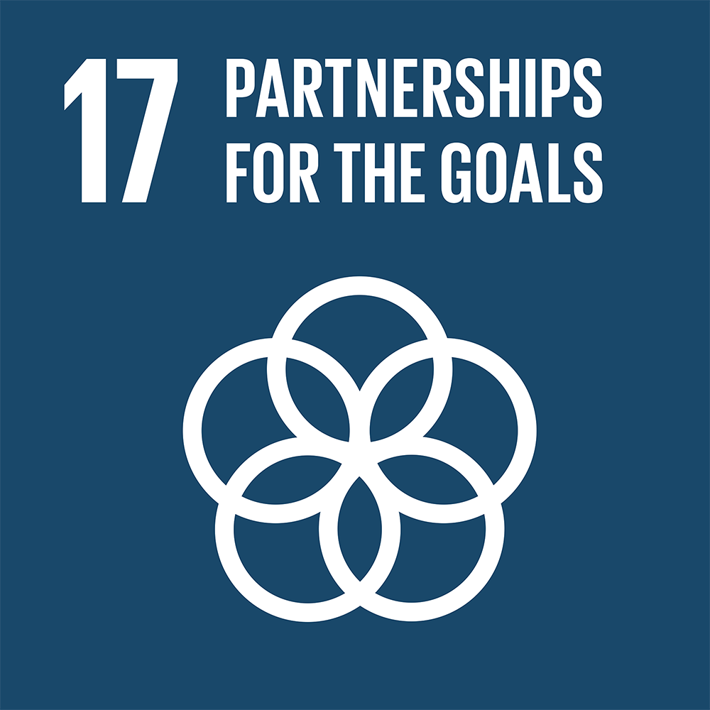 SDG 17: Partnerships