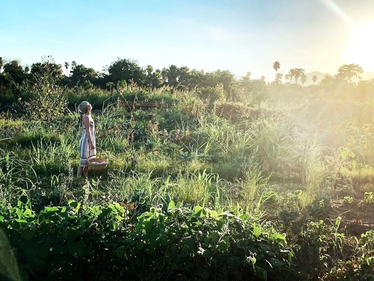 Ashlee Lynn Espinosa walking along a sunlit brick wall in a leather jacket, embodying freedom, flow, and modern creative living.