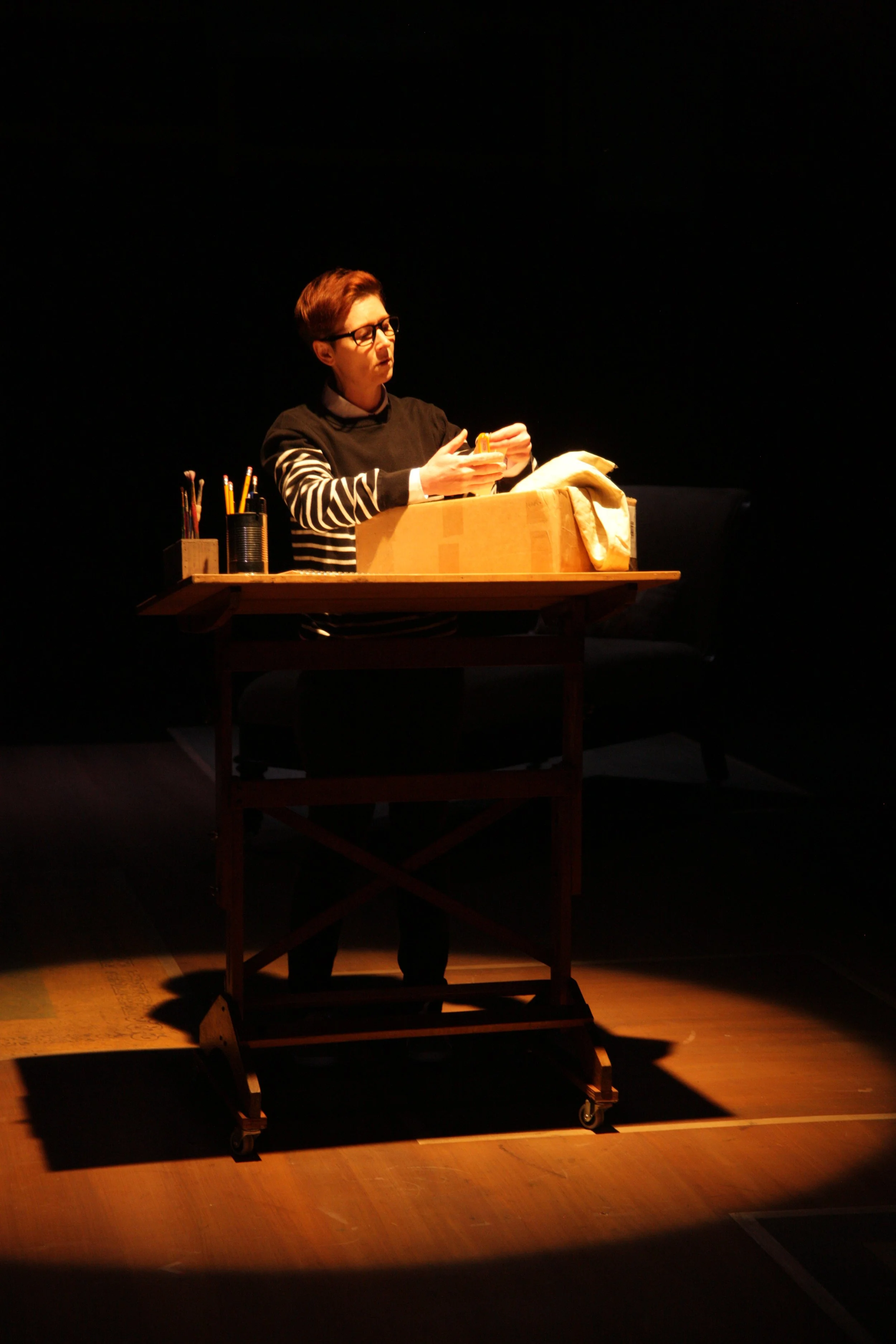 FunHome-Press (1).JPG