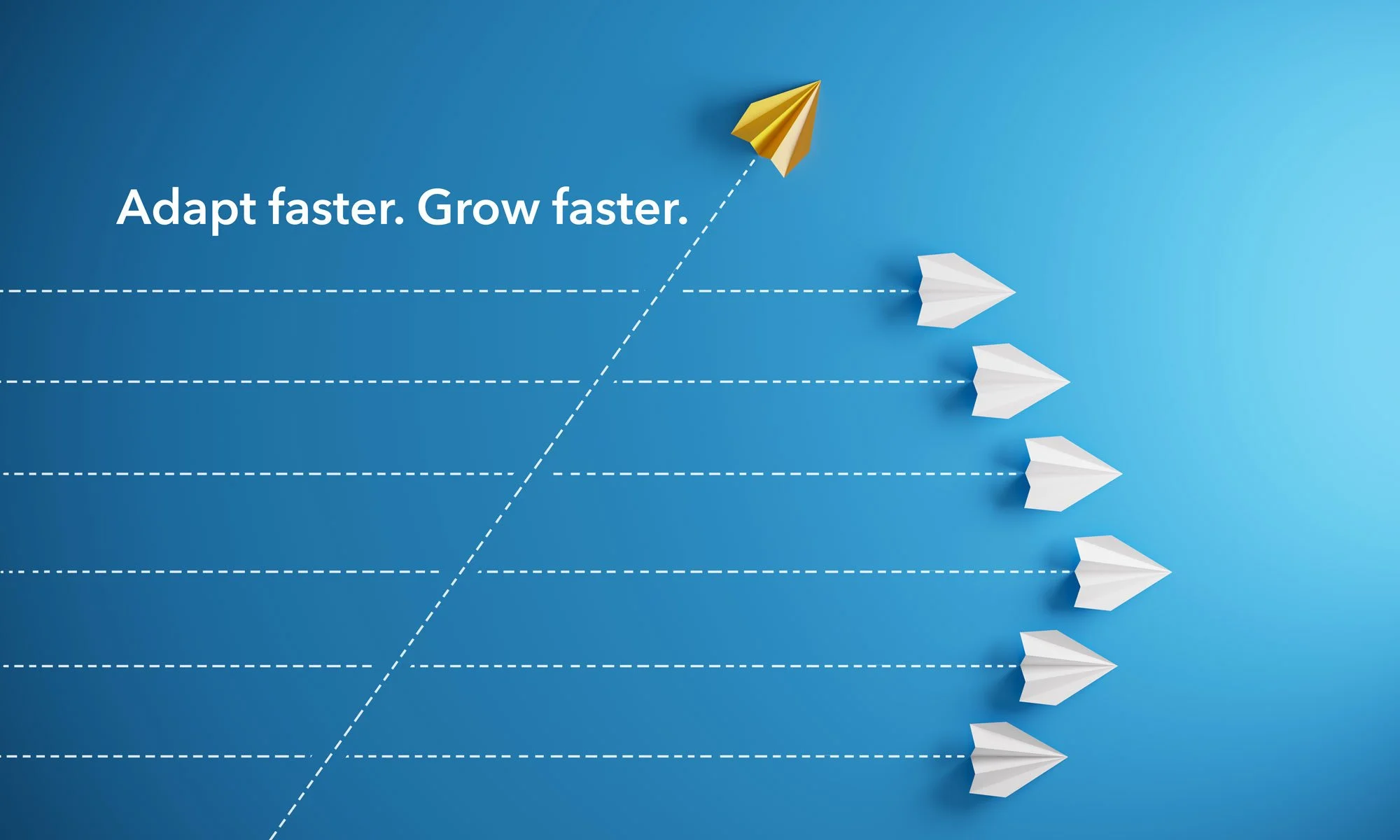 How others have built a resilience in volatile times.