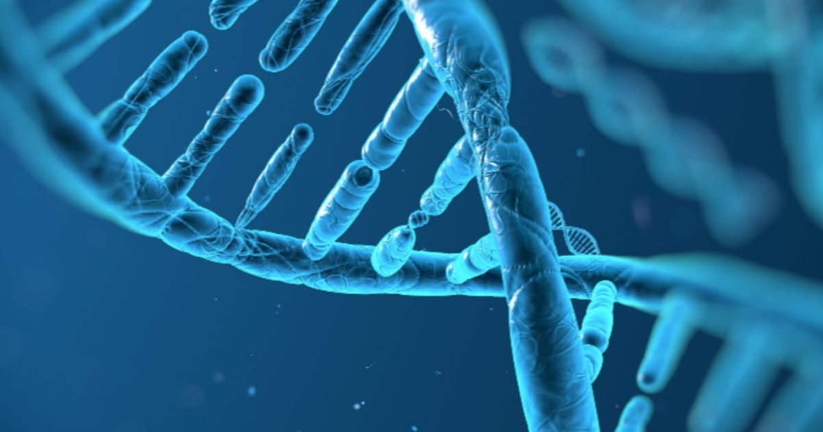 How to Build a Strong Company Culture That Attracts Top Talent and Drives Growth