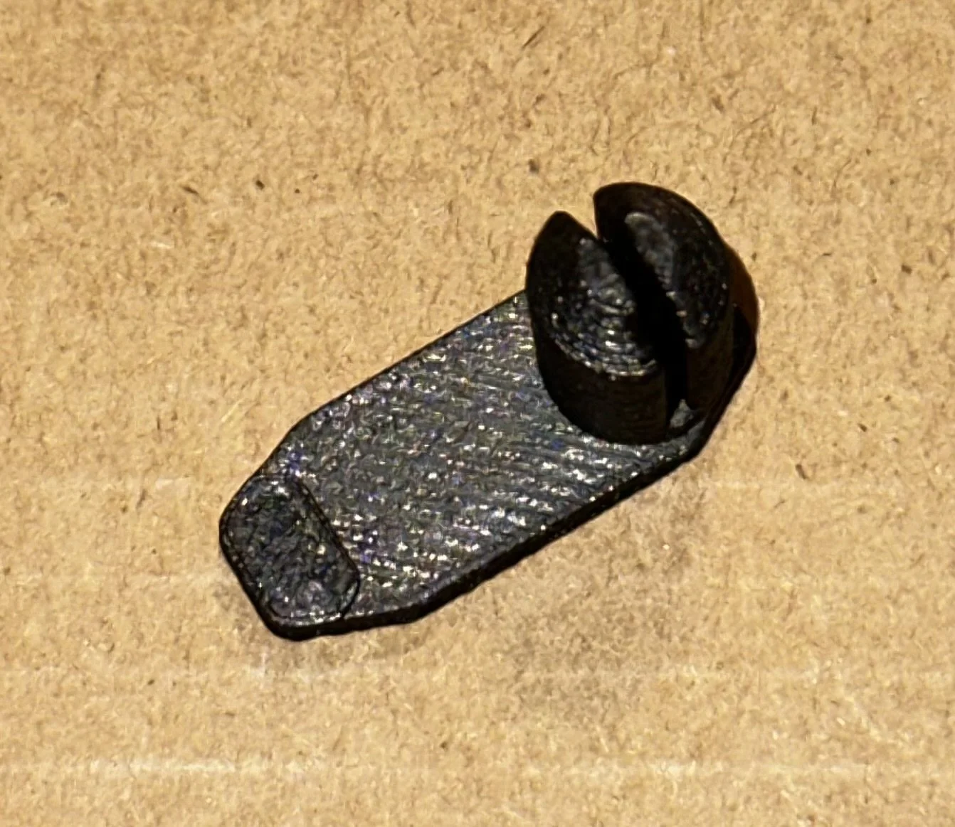 IMG_6268.jpg