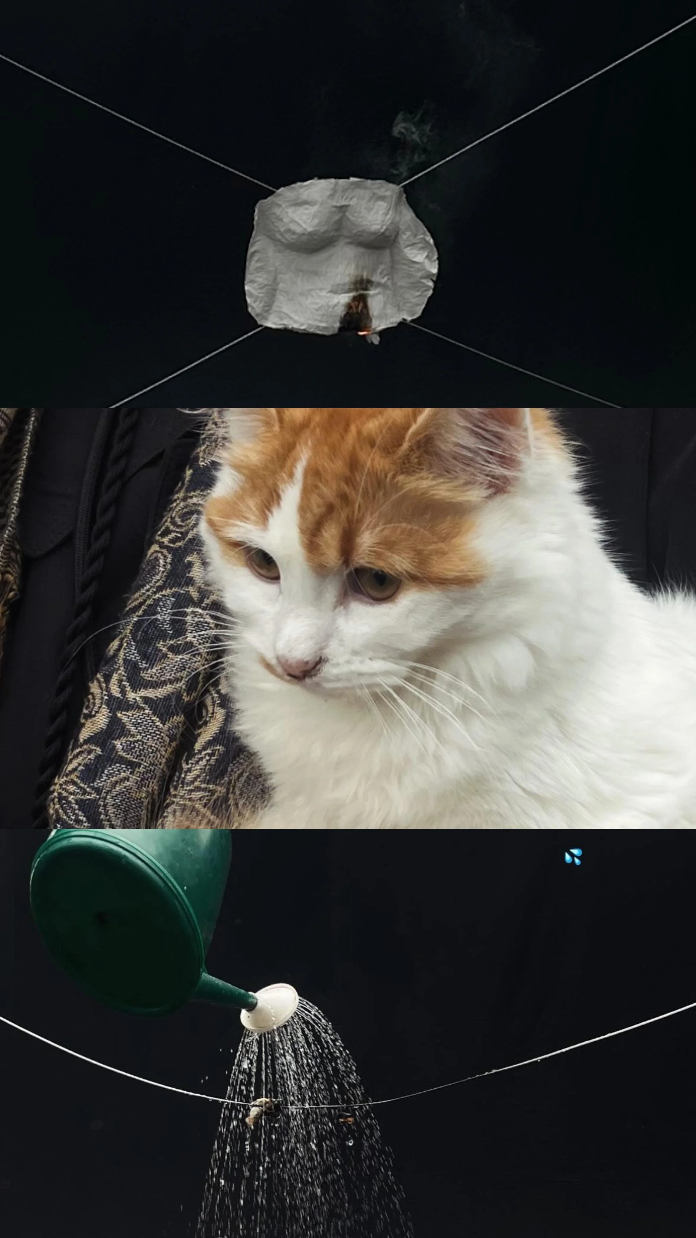 WhatsApp Image 2025-11-03 at 15.04.47.jpeg