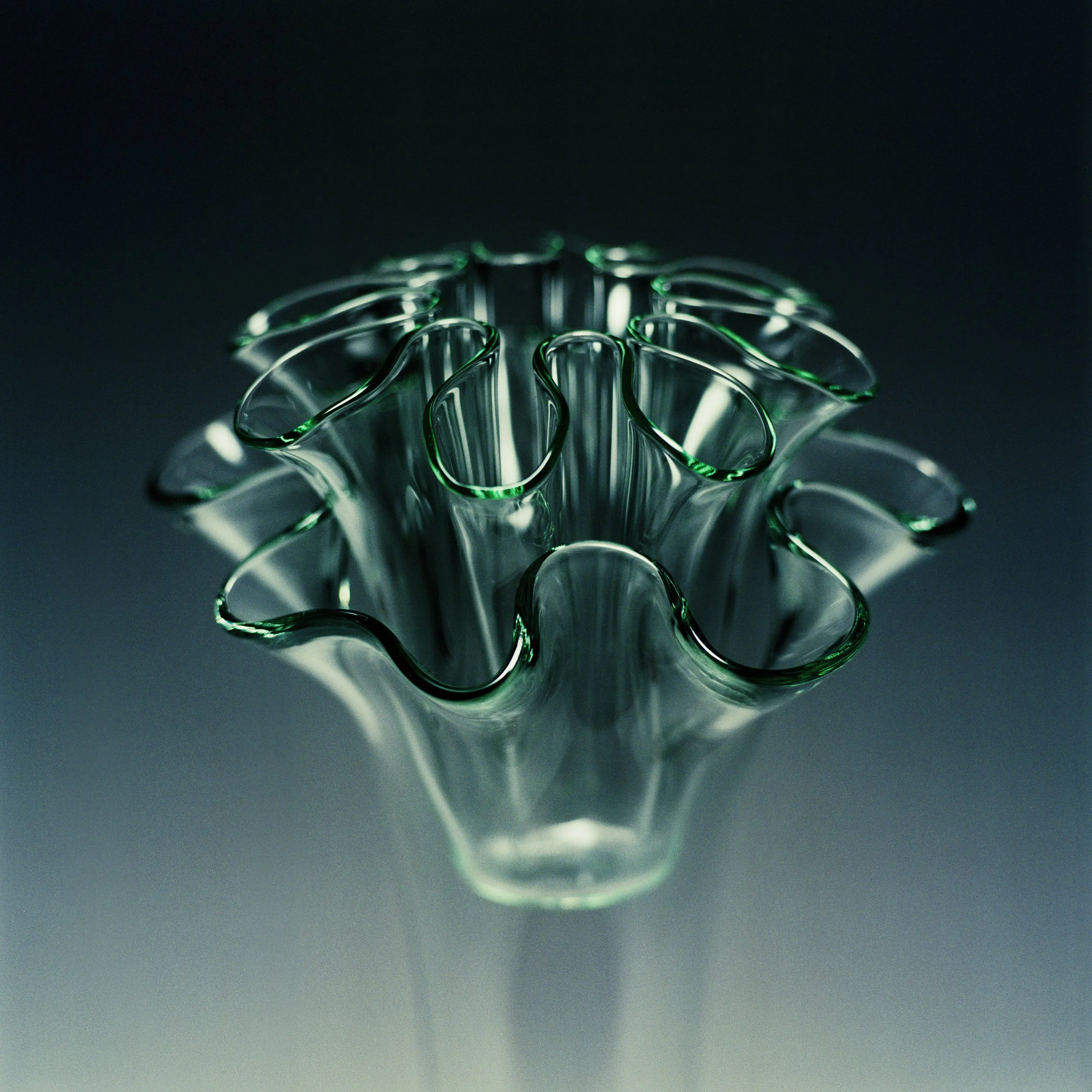 Navada_HS_Still_Life_10.jpg