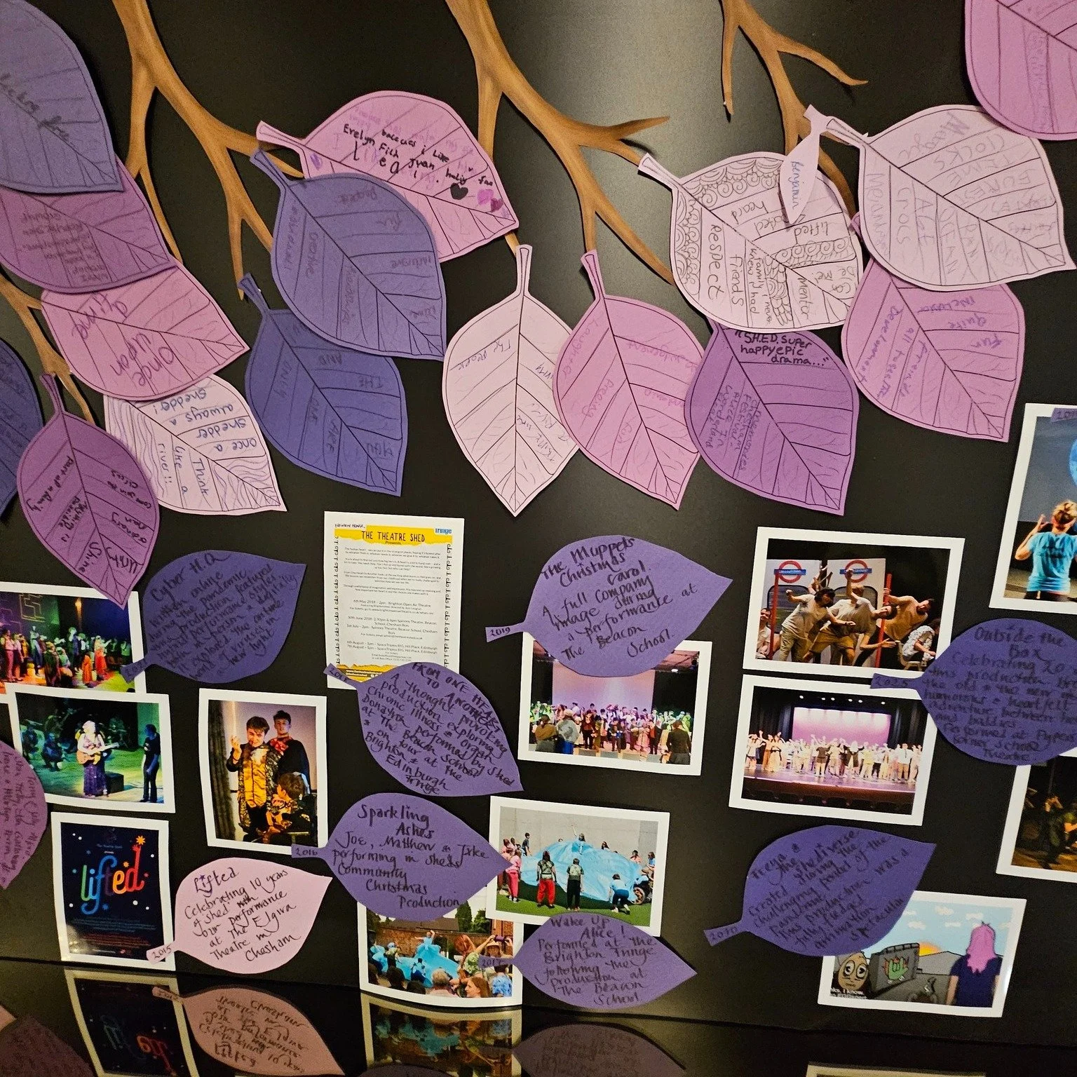 🎉 Celebrating 20 Years of Shed! 🎉
At the Gala, we displayed an amazing timeline showcasing two decades of Shed&rsquo;s history, complete with quotes and memories from our wonderful members. A huge thank you to Ben Barnard, @supersallyalford Sal Alf
