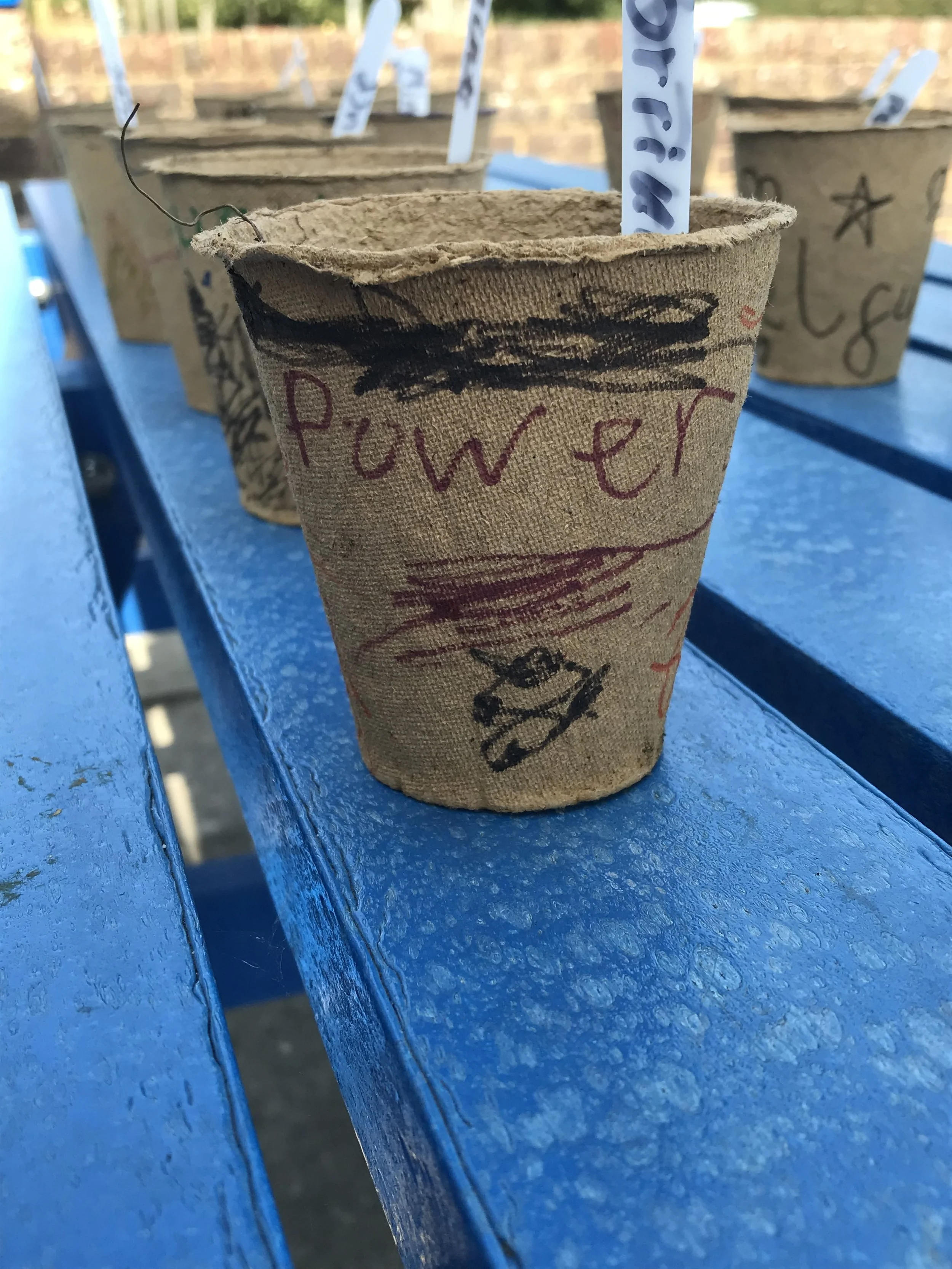 Close-up of a paper cup with the name "Power" written on it, placed on a blue wooden surface along with other similar cups, some with doodles and writing, outdoors with a blurry background.