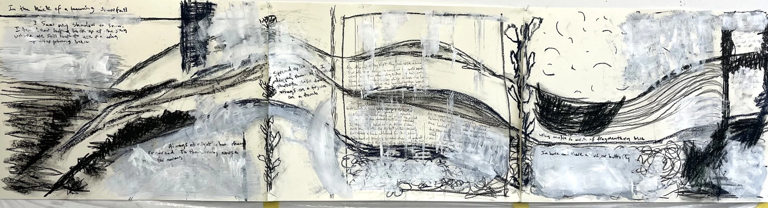 Shadow on Snow, mixed media on paper, 18”x72”