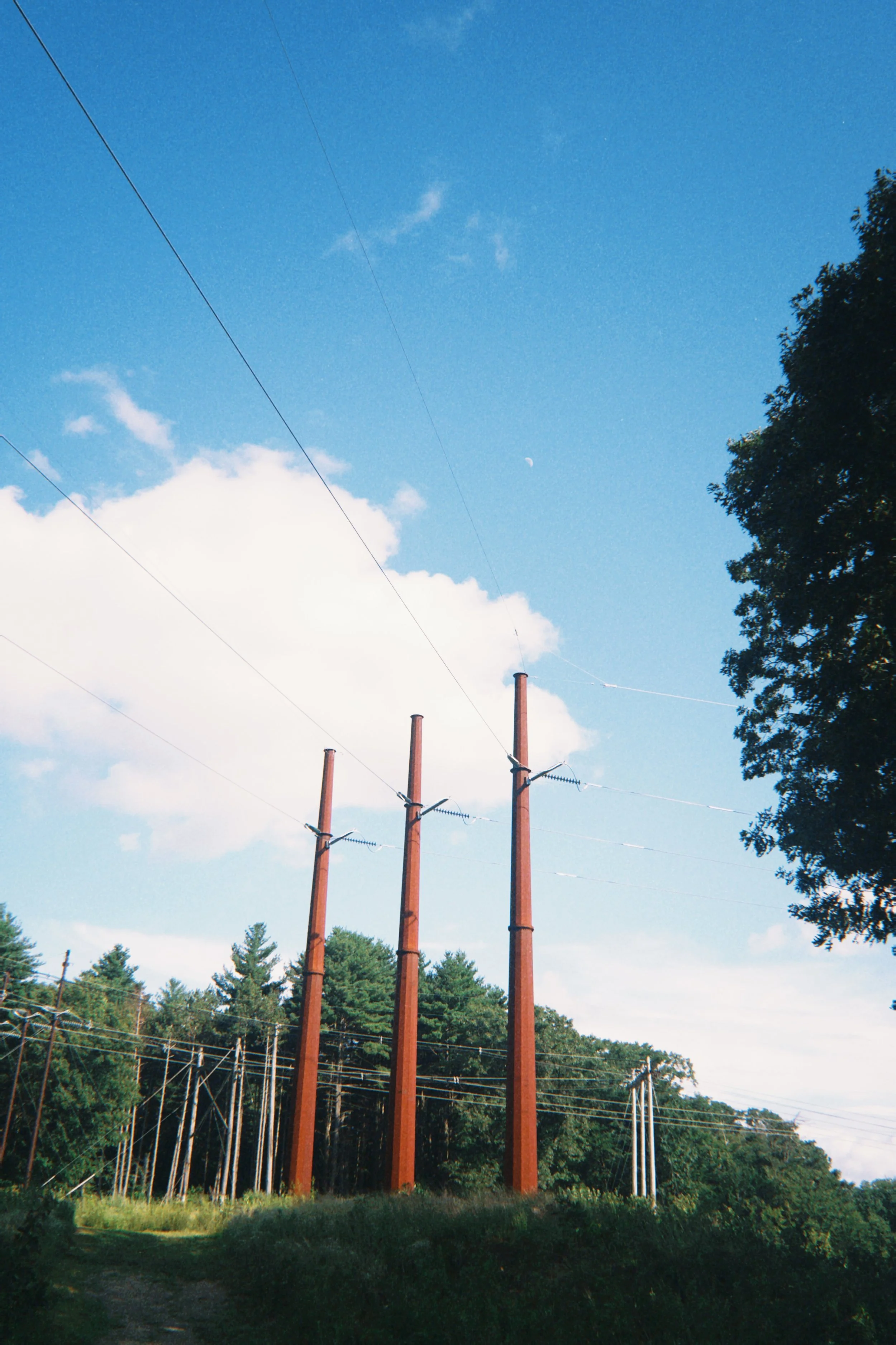 IMG_3787 - 4 K.jpeg
