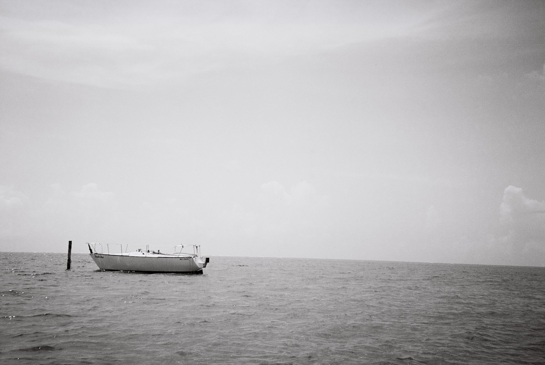 Let's Float Away.JPG