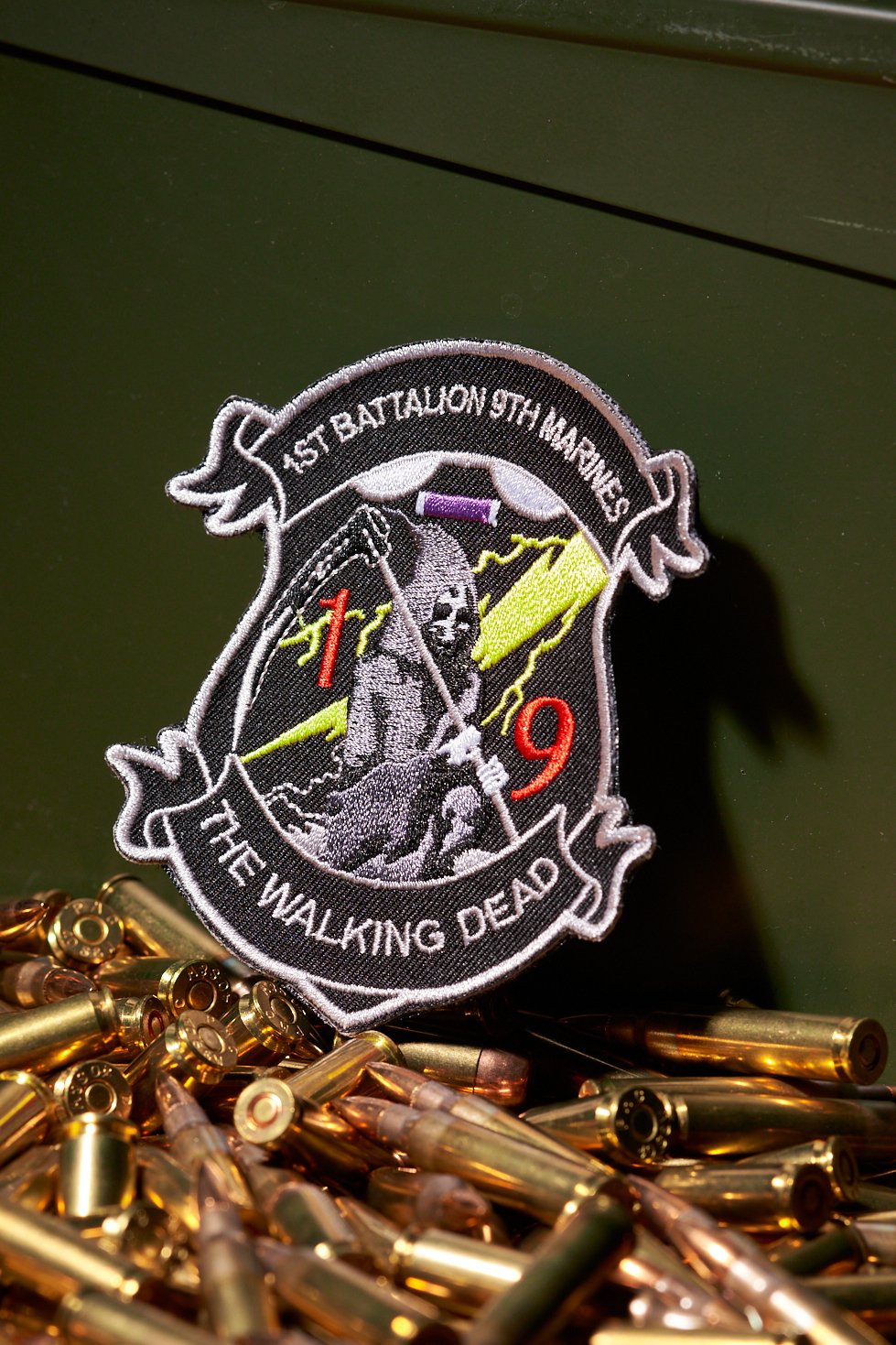 PH Shield Patch 3722.jpg