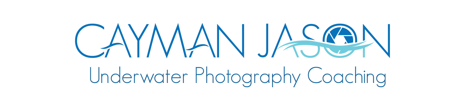 Underwater Photography 101