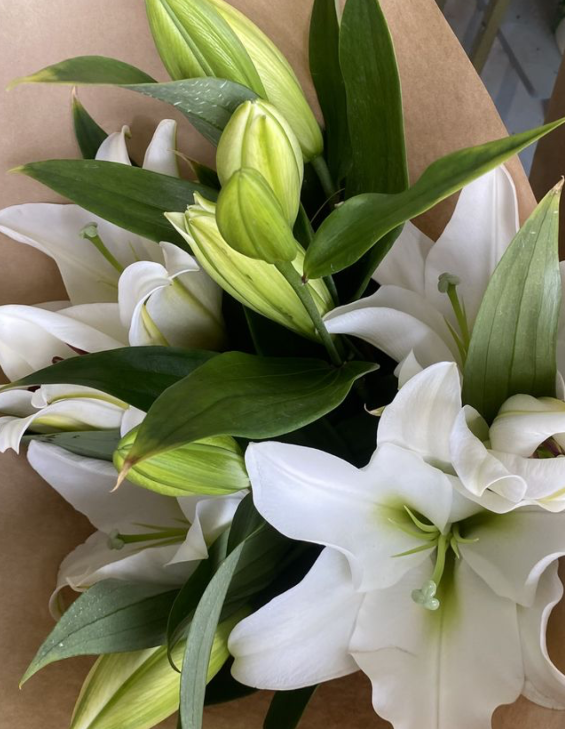 Screenshot 2026-02-04 at 12.44.37.png