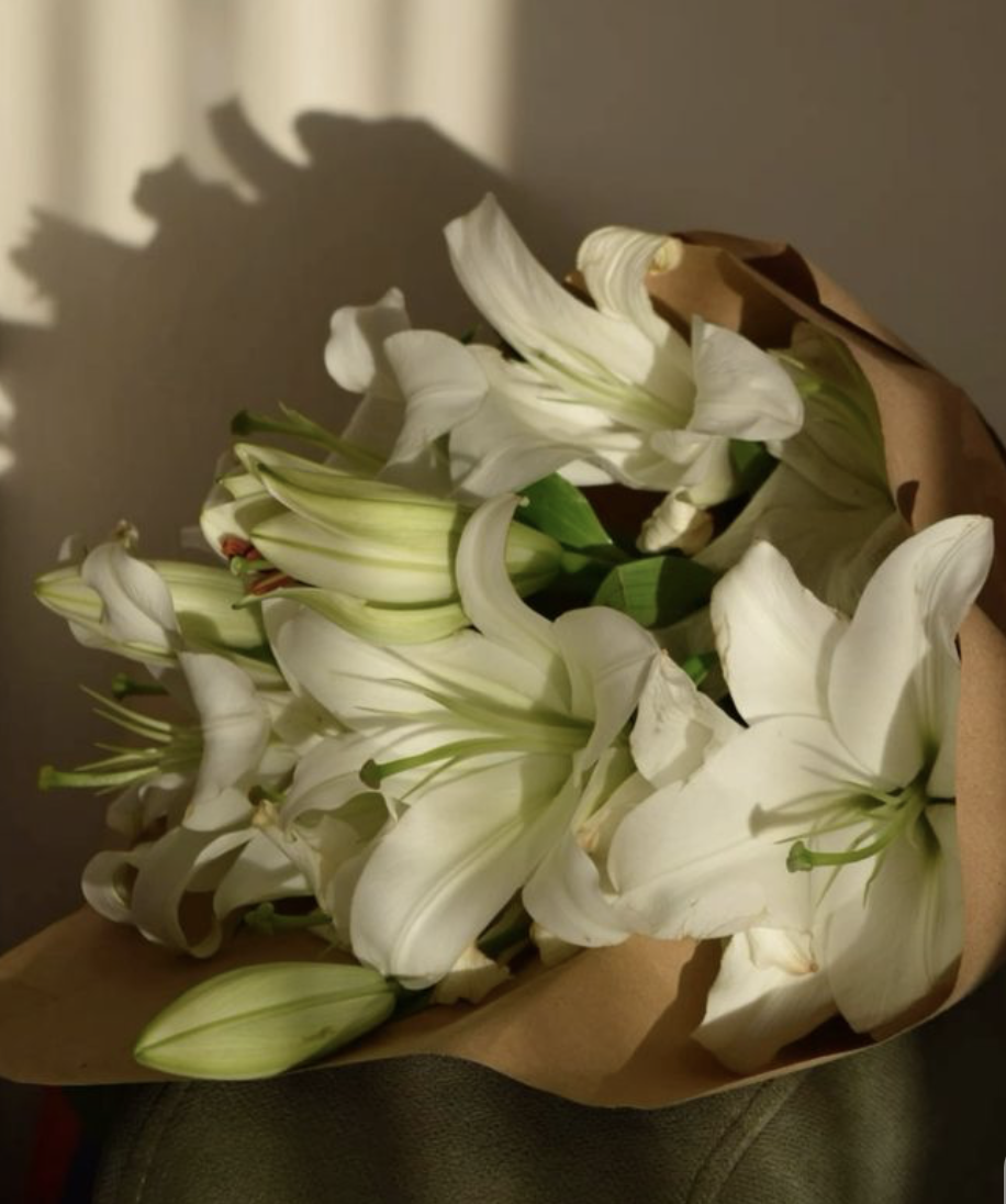 Screenshot 2026-02-04 at 12.44.26.png